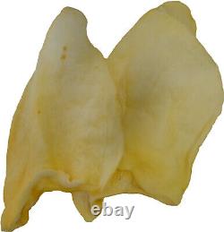 100 CT. Natural White Cow Ears, Large, Product Of USA